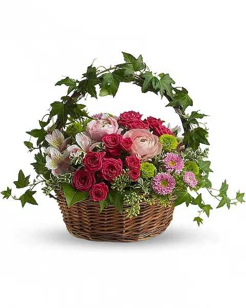 Basket arrangement of pink roses and mixed flowers with ivy arch