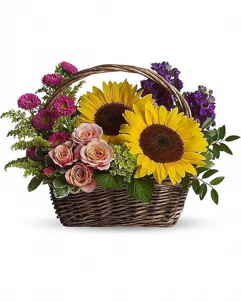 Picnic in the Park - Life will be a picnic for whoever's lucky enough to receive this gift. It's a lovely basket that's chock full of fabulous flowers. Peach spray roses, large yellow sunflowers, miniature green hydrangea, purple stock, hot pink matsumoto asters and more are delightfully arranged in a charming wicker basket.   Orientation : All-Around  All prices in USD ($)  Due to an increase in the cost of roses, some product prices may be impacted during the Valentine’s delivery period.