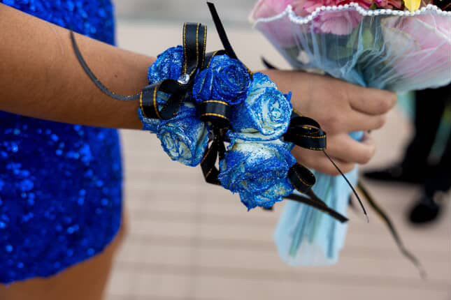 Blue rose wrist corsage with black ribbon ties