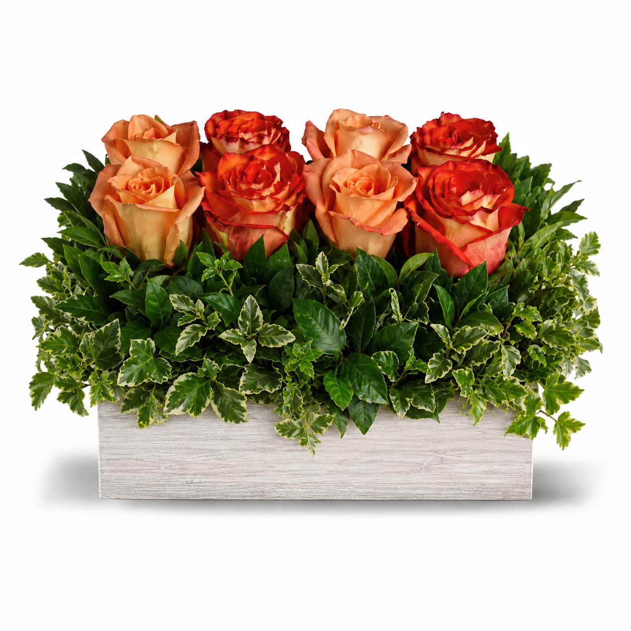 Orange and red roses in a rectangular wooden planter