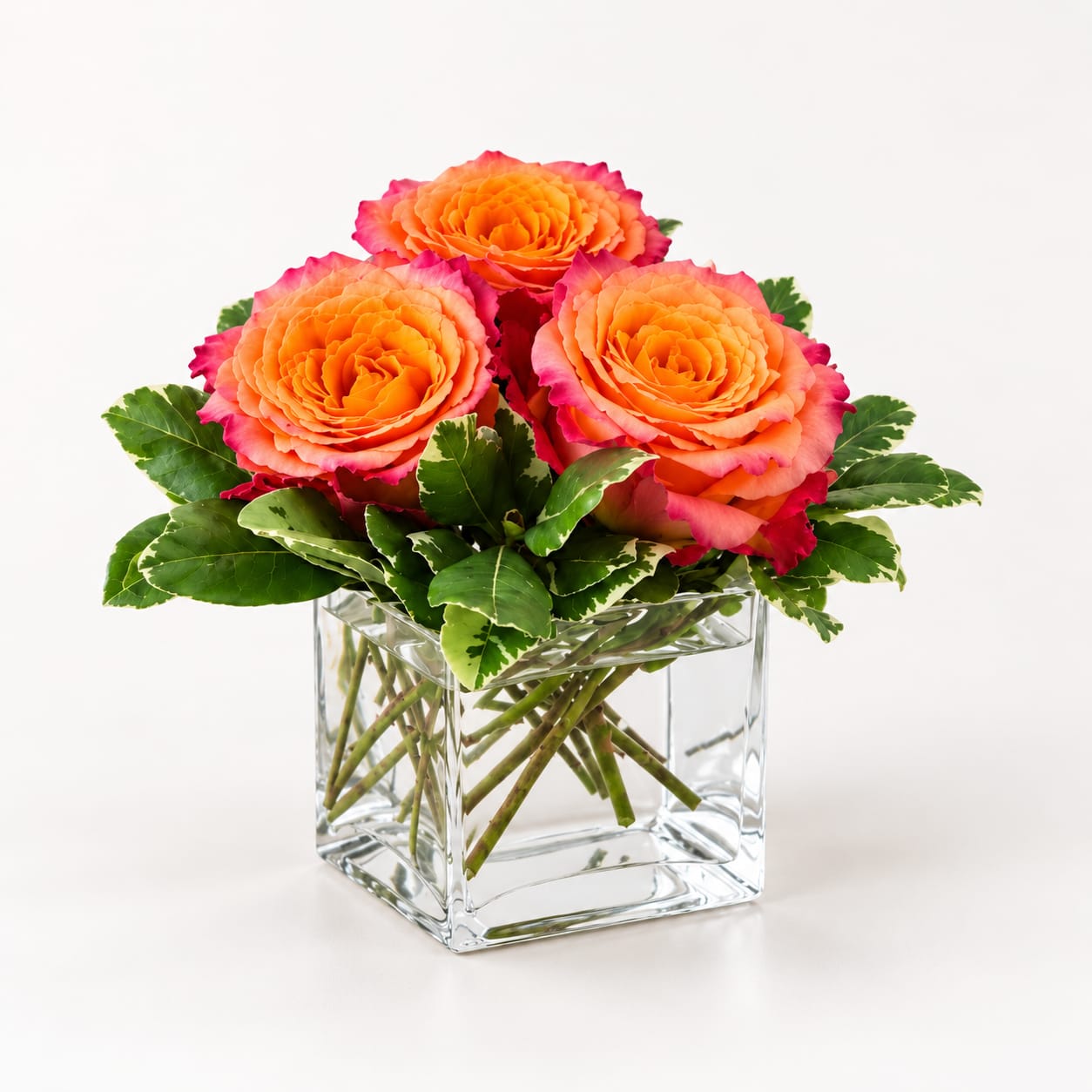 Three orange-pink roses in a clear square vase