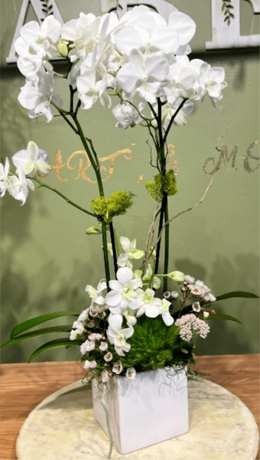 STUNNIG ORCHID PLANT - DUBBLE WHITE ONCIDIUM ORCHID PLANT IN THE WHITE PORCELAIN VASE