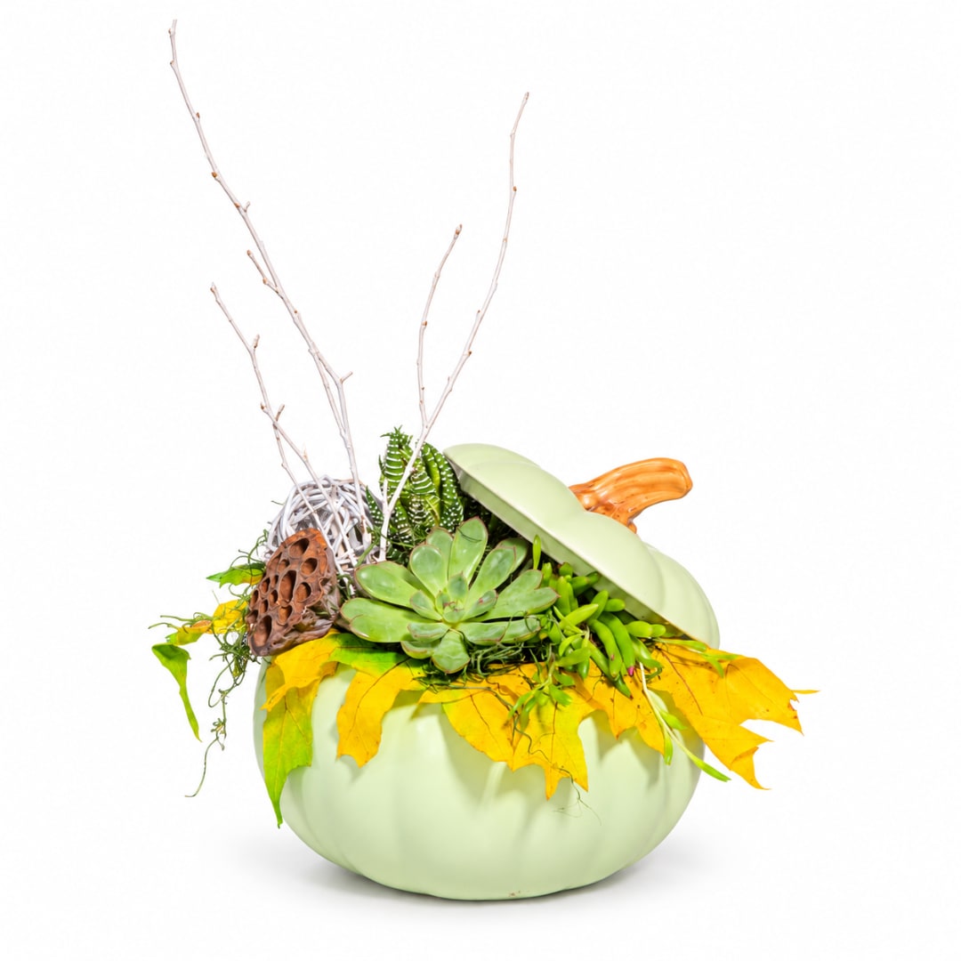 Succulent arrangement in a pale green pumpkin-shaped container with branches and autumn leaves