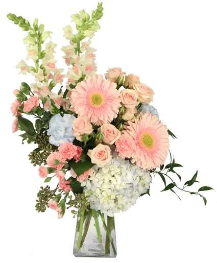 Blushing Horizon Flower Arrangement - Turn heads with Blushing Horizon, a vibrant burst of blue and pink blooms. Featuring playful blue carnations, pink gerberas, and a blue hydrangea accented by pink blooms, this arrangement is a colorful celebration of bold blooms. Blushing Horizon is perfect for adding a splash of fun to any occasion and a delightful way to make any day brighter!  Includes: Blue Carnations, Pink Mini Carnations, Pink Gerberas, Blue Hydrangea, Pink Snapdragons, Pink Spray Roses, Greens: Seeded Eucalyptus, Variegated Pittosporum, Italian Ruscus, Square Gathering Vase.