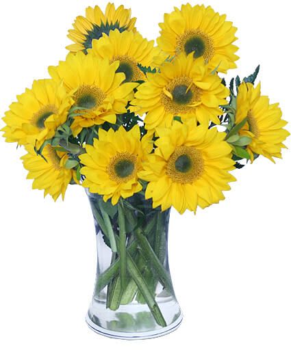 Hello Sunshine! Vase of Flowers - Small Gathering Vase, Small Sunflowers Or Yellow Gerberas.