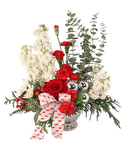 Candy Cane Carnations Christmas Arrangement - These festive flowers are sure to bring the holiday to life! A red and white delight, Candy Cane Carnations is full of red carnations and roses decorated with white stock and daisies. Send someone the gift of fresh flowers this holiday season with a bouquet of blooms to brighten their home!  Includes: Silver Design Dish, Small Silver Ornaments, Christmas Ribbon, Greens: Baby Blue Eucalyptus, Carolina Sapphire, Flowers: Red Mini Carnations, White Stock, White Daisy Poms, Red Hypericum, Red Rose.