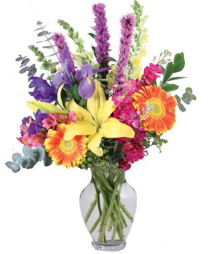 Rainbow Madness Floral Design - They'll go mad with love for this bouquet! With yellow snapdragons, purple stock, pink alstroemeria, yellow lilies, orange and yellow bicolor gerberas, and blue iris, this magnificent arrangement creates a vibrant mix of colors. Rainbow Madness is sure to show them all the colors of your love!  Includes: Clear Ginger Vase, Greens: Variegated Pittosporum, Myrtle, Baby Blue Eucalyptus , Flowers: Yellow Snapdragons, Purple Stock, Orangeyellow Bicolor Gerberas, Blue Iris, Purple Liatris, Pink Alstroemeria, Yellow Lilies, Purple Statice, Green Hypericum.