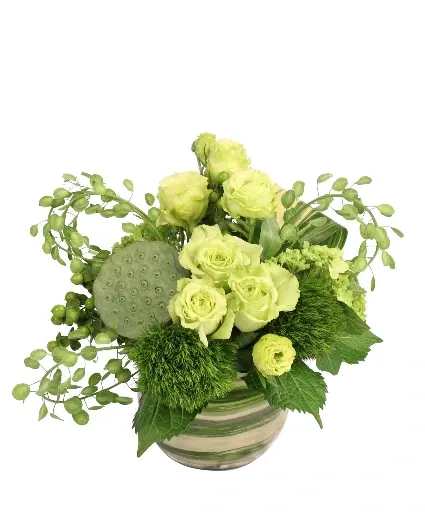 Petite Playfulness Flower Arrangement - There’s nothing petite about how much they’ll love this arrangement! With lovely hydrangeas, lisianthus, roses, and more featured in different shades of green, Petite Playfulness is a delightful emerald mix. Everyone will be green with envy when they see this bouquet!  Includes: Clear Bubble Bowl , Variegated Aspidistra, Pennycress, Lotus Pod , Green Trick Dianthus  , Green Hydrangea, Green Hypericum , Green Lisianthus, Green Roses.