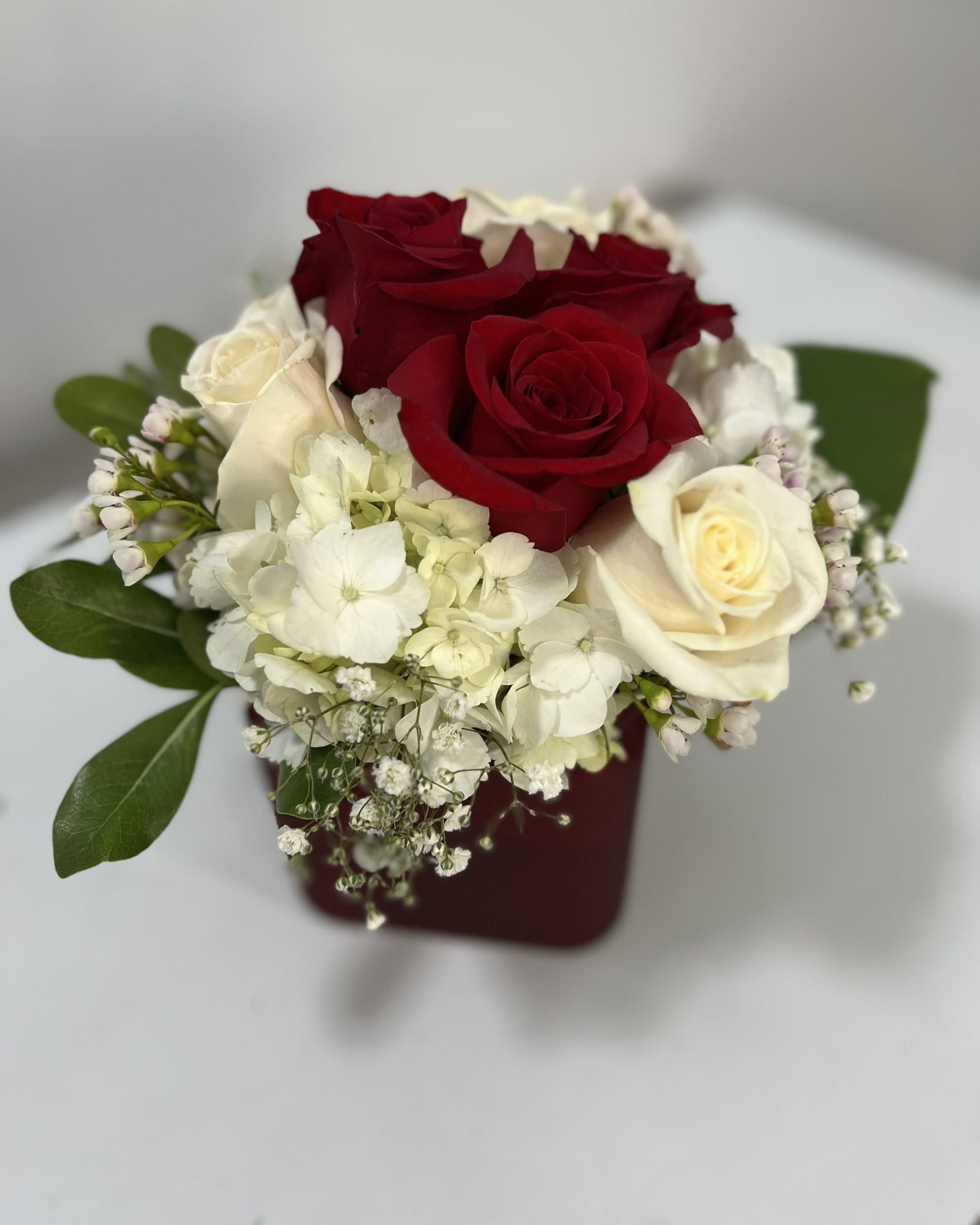 Red and white roses in a burgundy box with white filler flowers
