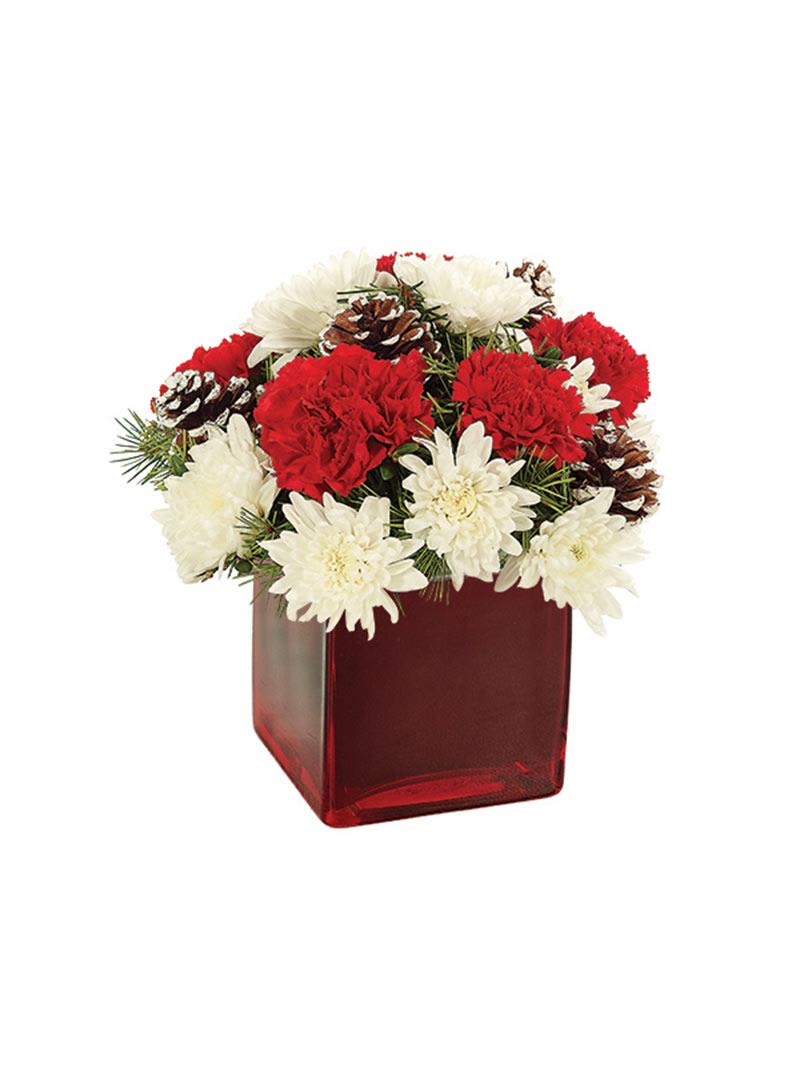 Red and white flowers arranged in a red glass vase