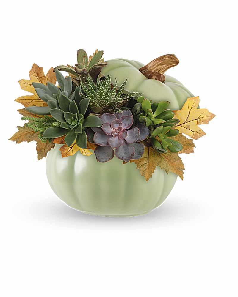 Succulent arrangement in a pale green pumpkin-shaped container with autumn leaves