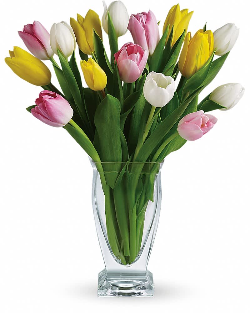 Mixed tulips in pink, white, and yellow arranged in a clear glass vase