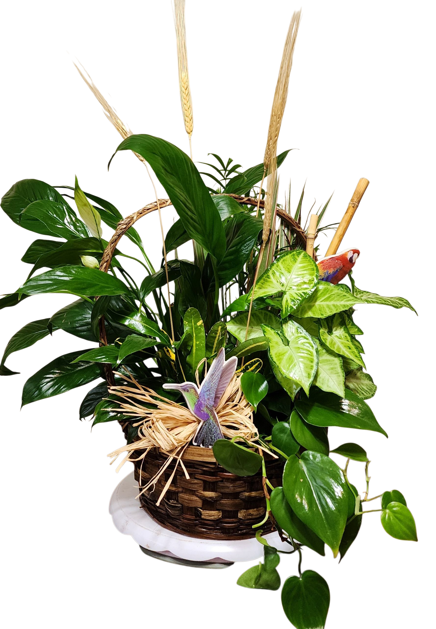 Forest Bird - Elegant Dish Garden