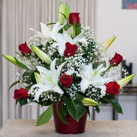 Lady in Red - Elegant flower design white and red