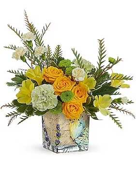 Send Sunshine Bouquet - Here comes the sunshine! Arranged in a charming vintage-inspired cube, this joyful yellow bouquet brightens any day. Yellow spray roses, yellow alstroemeria, green carnations, miniature yellow carnations and green button spray chrysanthemums are arranged with grevillea and variegated pittosporum. Delivered in a Vintage Butterfly Cube.  