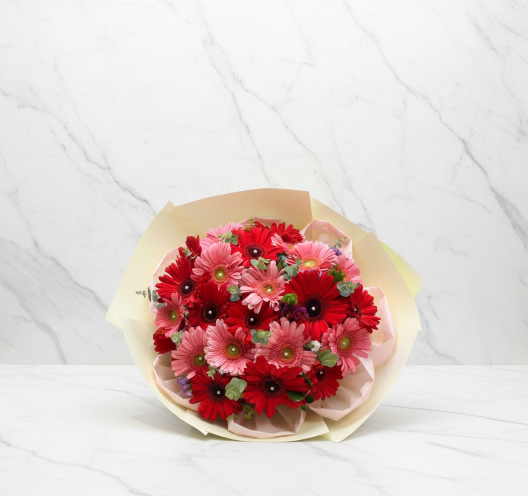 Strawberry Blush Bouquet - A charming and vibrant bouquet faturing a beautiful mix of red and soft pink daisy style flowers arranged in compact, round design. This bouquet includes red gerbera, small white filler flowers, decorative greenery accents floral wrapping paper, floral tape and binding materials. Un ramo encantador y vibrante que presenta una hermosa mezcla de flores estilo margarita en rojo y rosa suave, dispuestas en un diseño compacto y redondo. Este ramo incluye gerberas rojas, pequeñas flores blancas de relleno, toques de follaje decorativo, papel de envolver floral, cinta floral y materiales de sujeción.