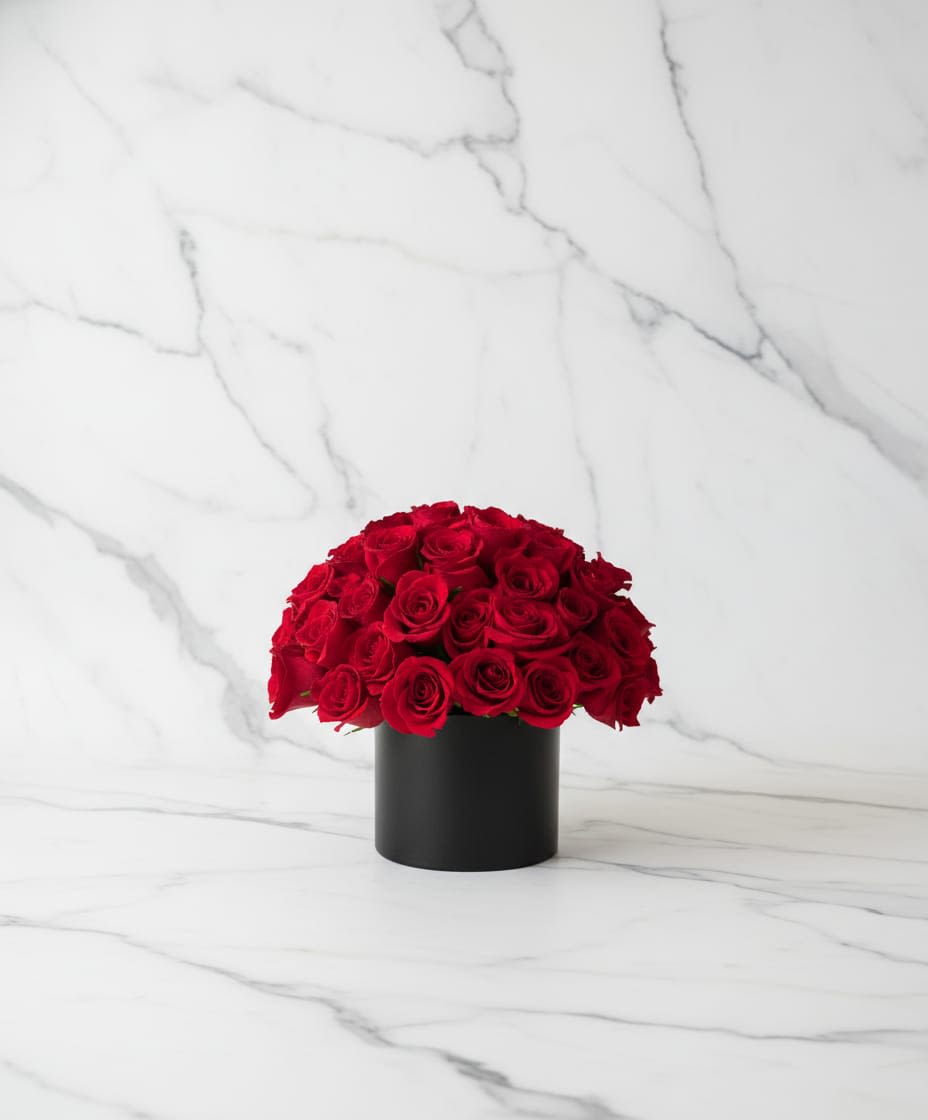Velvet Rose Centerpiece - A sophisticated and luxurious cenerpiece featuring a full dome of vibrant red roses beautifully arranged in a sleek modern vase. The rich crimson blooms create a bold yet timeless display that instantly adds romance and elegance to any room. Un centro de mesa sofisticado y lujoso que presenta una cúpula completa de vibrantes rosas rojas bellamente dispuestas en un elegante jarrón moderno. Las flores de un rico color carmesí crean una exhibición audaz pero atemporal que añade instantáneamente romance y elegancia a cualquier habitación.