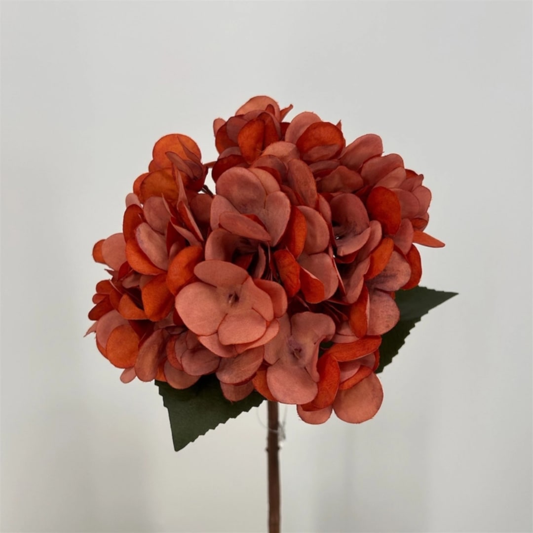 Orange and pink hydrangea bouquet on a single stem
