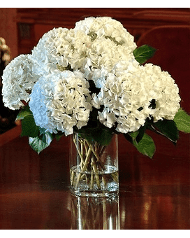 CLASSIC HYDRANGEA - BEAUTIFUL WHITE HYDRANGEA ARRANGED NICELY IN A CYLINDER GLASS VASE WITH ASSORTED GREENS.
