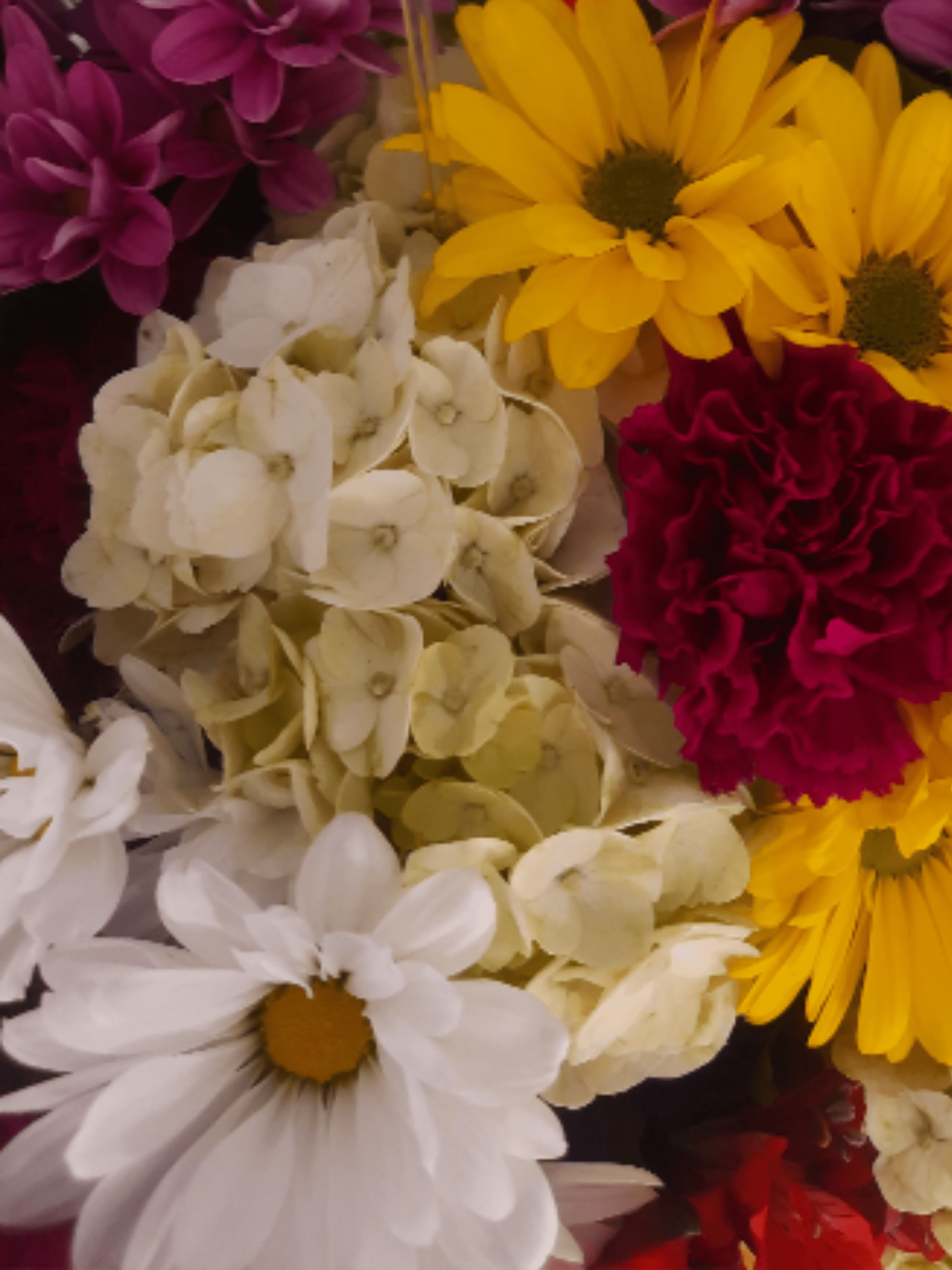 DC-Designer's Choice - Bright, cheerful making this mixed bouquet a joyful choice for a birthday, thank-you, or just-because celebration. 