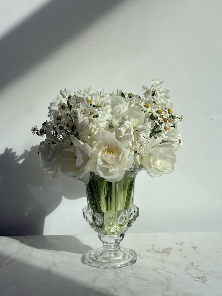 Spring Snow - Spring bulb flowers to chase away the winter chill.