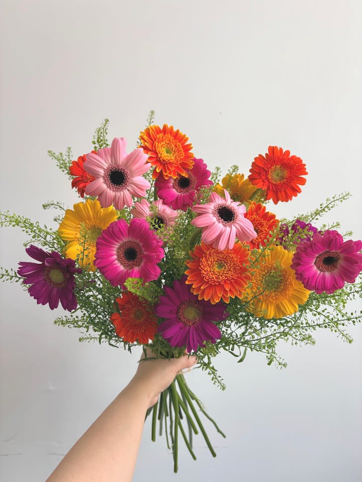 Daisy Field - A whole field of daisies right at your fingertips.  *Vase not included