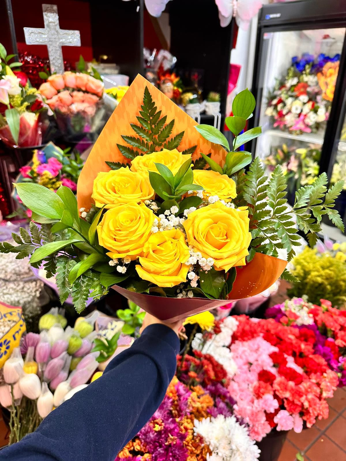 Yellow Half Dozen Daily Special - .