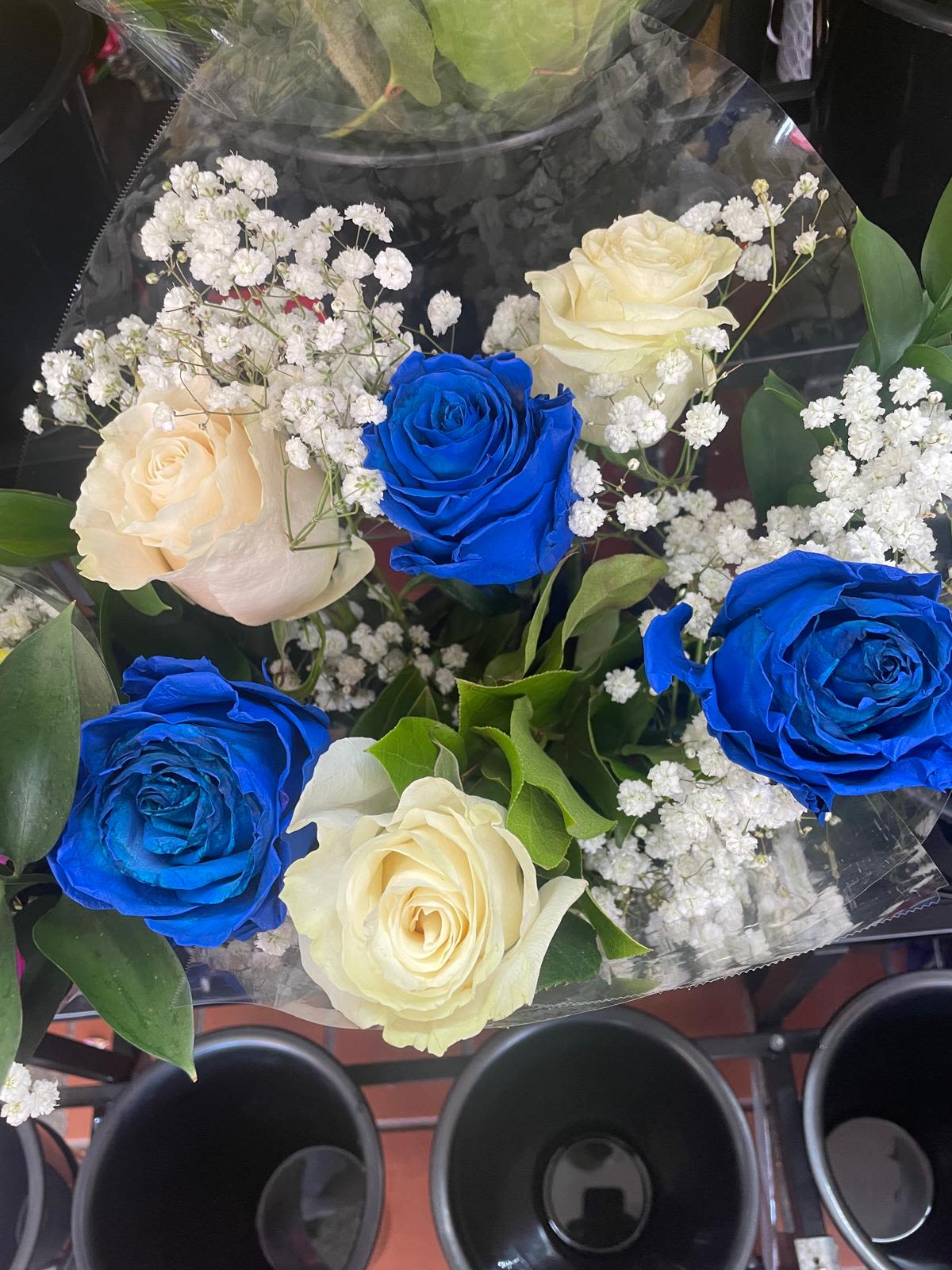 Blue X White BB Breath Half Dozen Special - .