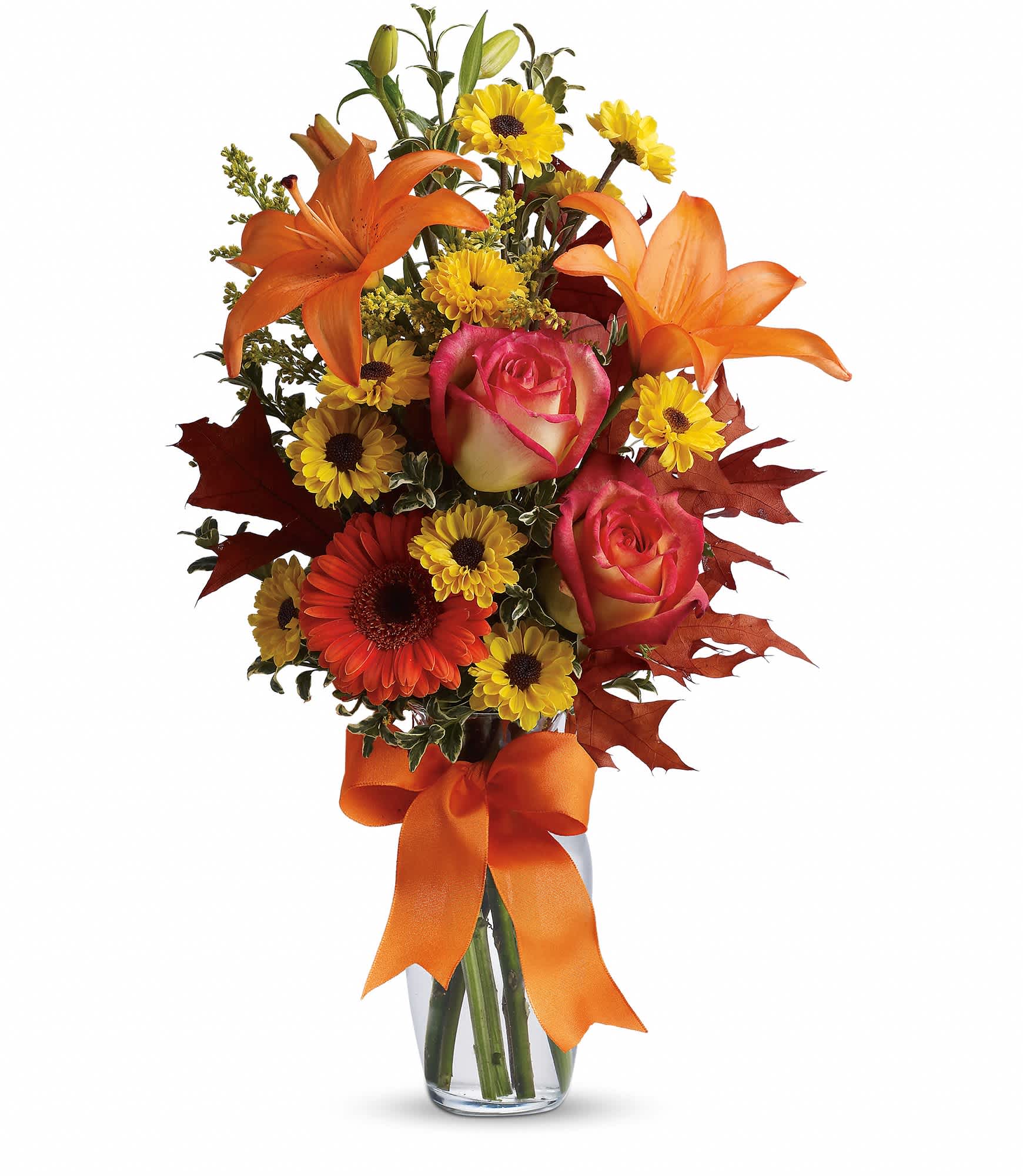 Burst of Autumn - A mix of fresh flowers such as Asiatic lilies, Viking spray chrysanthemums, roses and a miniature gerbera - in shades of orange and yellow - is arranged with preserved oak leaves in a clear glass vase adorned with an orange satin ribbon. Approximately 8" W x 19" H. TFL02-2A 