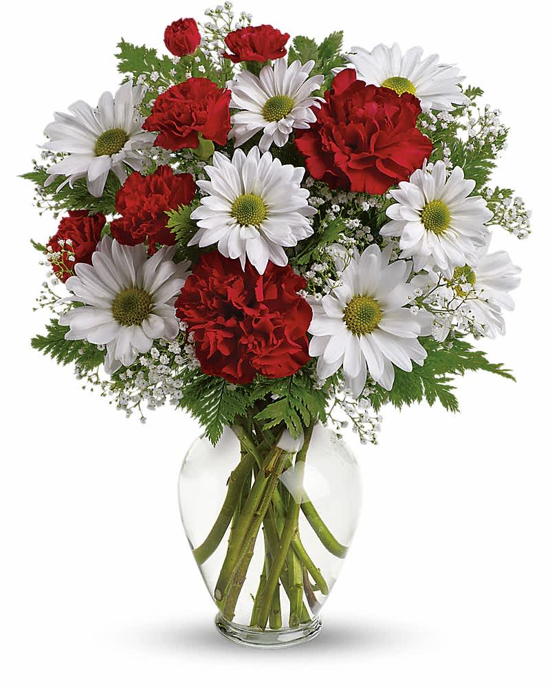 Red carnations and white daisies arranged in a clear glass vase