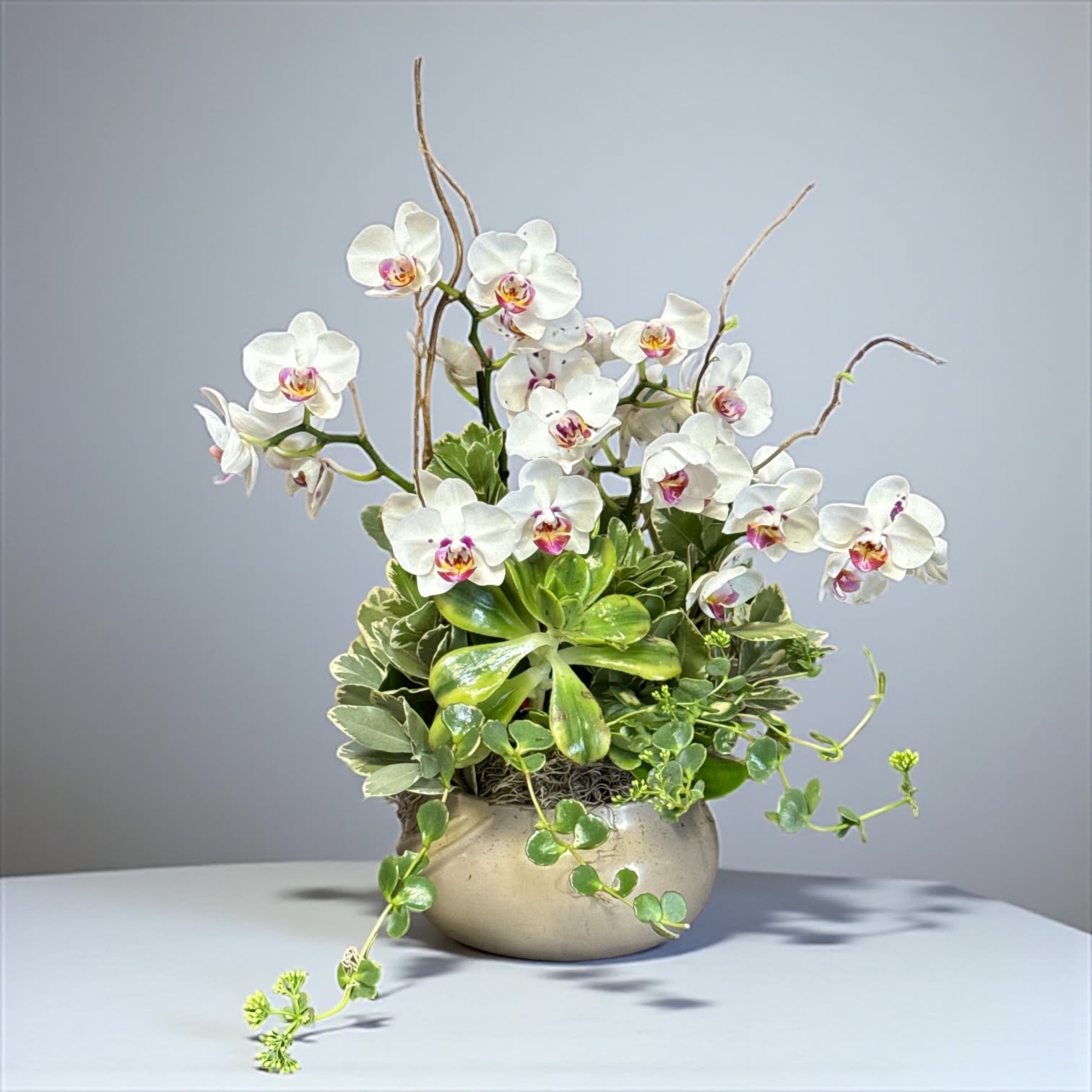 White orchids arranged in a round ceramic pot with mixed greenery