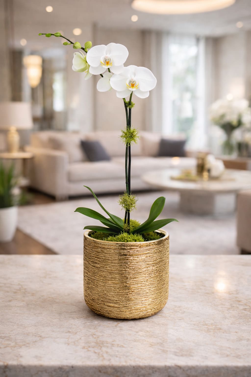 Imperial White Orchid - A single tall white Phalaenopsis orchid trained on a graceful stem creates a modern, serene centerpiece-perfect as a housewarming gift, a thank-you gesture, or a sympathy arrangement. The clean white blooms and broad green leaves feel both elegant and calming, the kind of floral gift that makes the person you're thinking of feel seen and comforted.  Set in a gold textured ceramic pot with a bed of moss, this arrangement pairs luminous white petals with warm metallic tones for a polished indoor décor statement. The composition is compact yet striking, ideal for tabletops, entry consoles, or office desks; no extra styling needed-just unpack and display.  This low-maintenance orchid is suited for everyday gifting and special moments when you want to convey thoughtfulness without fuss. Place it in bright, indirect light and water sparingly at the roots; sizing and care are straightforward so the recipient can enjoy lasting blooms.
