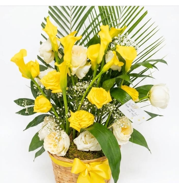 Golden serenity - Sunlit yellow calla lilies and sunny yellow-and-white roses create an uplifting birthday bouquet that also reads perfectly for "just because" or a heartfelt thank-you. Arranged in a woven basket with a cheerful yellow ribbon and included card or gift tag, this flower arrangement announces joy the moment it arrives - the person you're thinking of will feel genuinely celebrated and seen.  Delicate sprays of baby's breath soften the composition while broad tropical leaves and palm fronds build a tall, layered silhouette that commands attention on a table or entryway. The mix of textures - the sleek calla stems, classic rose blooms, airy filler, and natural basket weave - gives the piece visual depth and a fresh, summery vibe year-round.  Ideal for birthdays, congratulations, Mother's Day, or a spontaneous pick-me-up, this arrangement arrives ready to gift in its basket; simple care is to keep the floral foam moist and place away from direct heat or drafts to prolong bloom freshness. A note card and gift tag are included so your message arrives with as much warmth as the flowers.