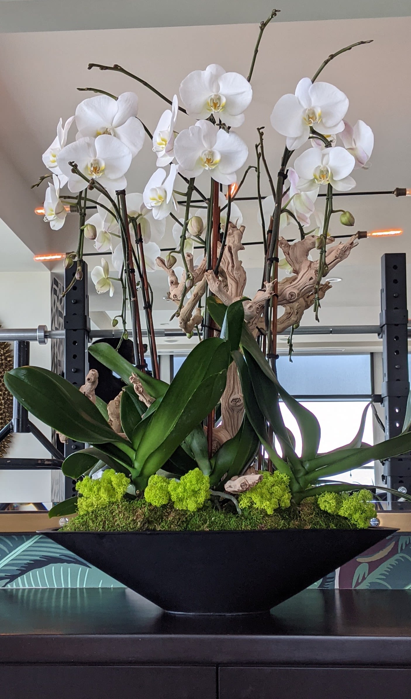 Beauty on display - Lager vessel upon request