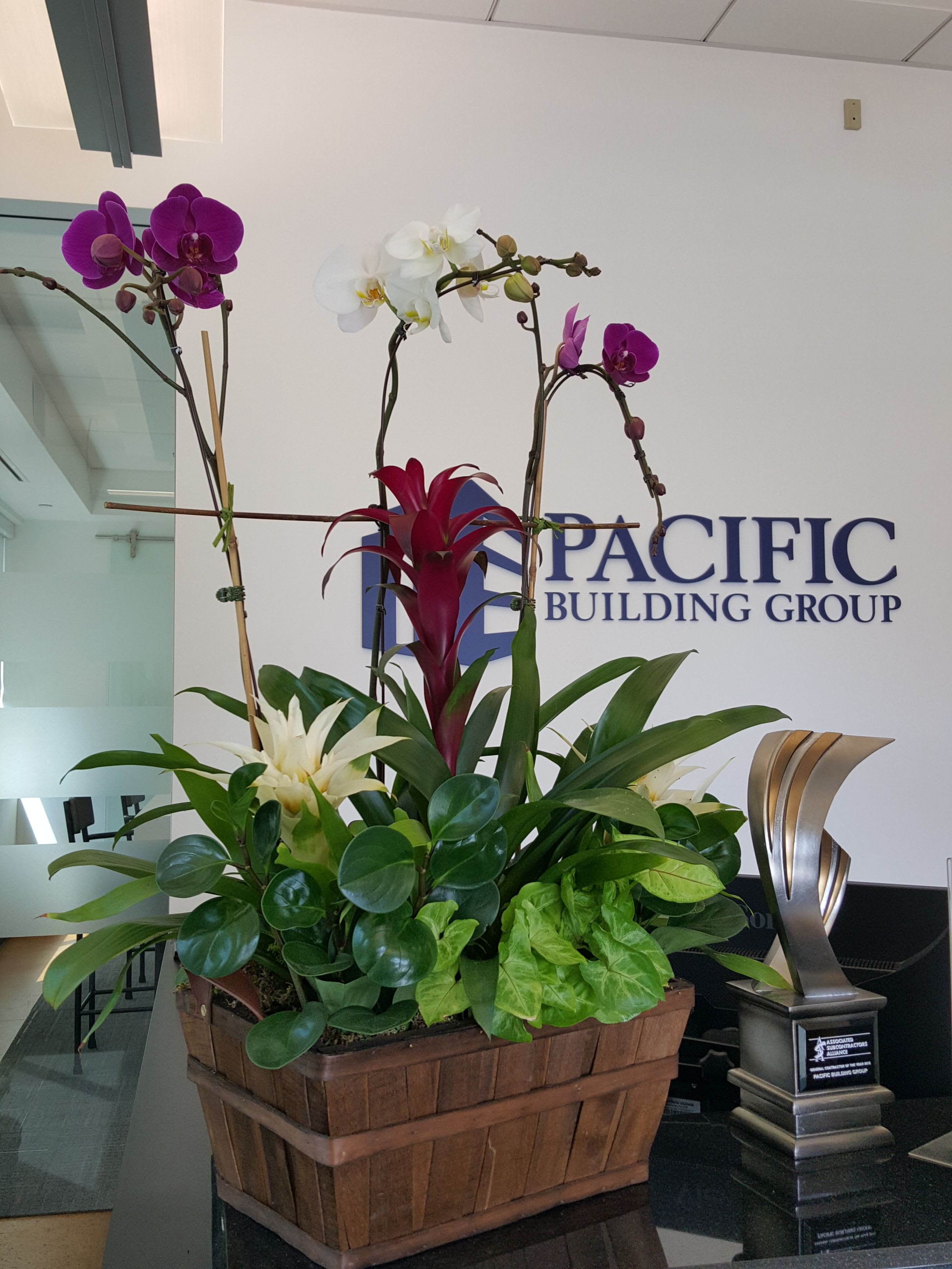 Interior landscape design - Chose from a variety of plants, orchids and bromeliads.