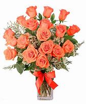 Orange Roses - 18 orange roses in vase