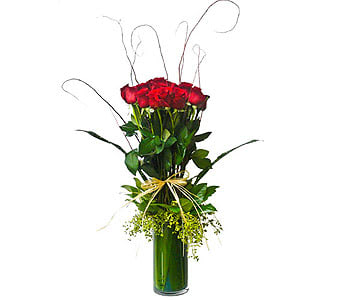 Newport Florist Dozen Red Roses - Surprise your love one with these premium Colombian roses, accented with brasilian berries in a cylinder vase with t-lif inside and curly willow shooting out the centerâ¦        As Shown : NF167    