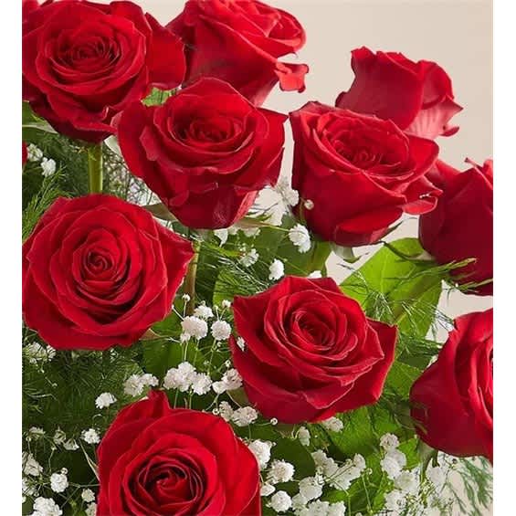 Bouquet of red roses with small white filler flowers