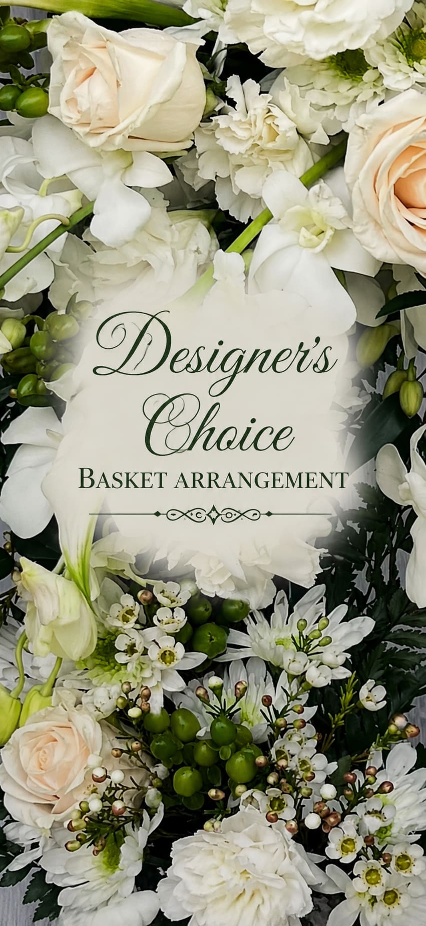 Sacred White Tribute Basket Arrangement  - Pure white blooms arranged with soft blush accents create a calm, comforting presence in this sympathy basket arrangement. Designed specifically for moments of remembrance, the clean, garden-style composition and gentle color palette convey peace and quiet support for the person you're honoring.  Set in a classic woven basket with a printed sign noting "Designer's Choice Basket Arrangement," this piece is full and layered with delicate filler and subtle green accents for texture and depth. The size and styling make it appropriate for funeral services, visitation tables, or to send directly to a grieving family as a thoughtful expression of sympathy; care instructions and delivery options are available at checkout.