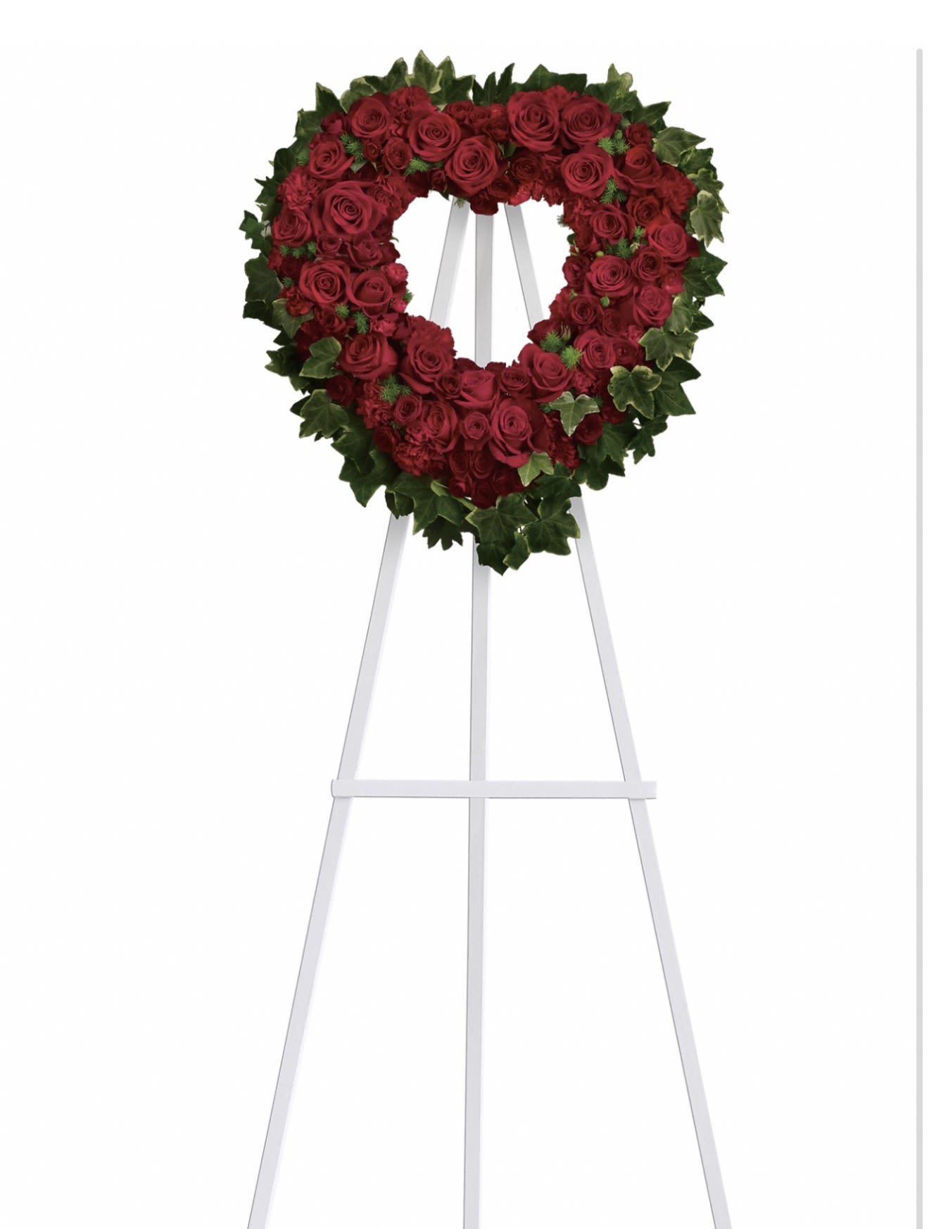 Blessed Heart - A dense heart of deep red roses forms the striking centerpiece of this sympathy flower arrangement, a heartfelt tribute for a funeral or memorial service. The heart-shaped wreath sends a clear message of love and remembrance, making it an appropriate choice when you want the person you're honoring to feel truly cherished in grief.  Dark green, ivy-like foliage frames the red roses and defines the heart silhouette, adding contrast and a natural, solemn tone. The compact, symmetrical design is mounted on a white easel for formal presentation; the overall look is classic and reverent with clean lines and a rich red, green, and white palette. Sized for visibility at a service, it reads clearly from a distance and holds its shape through typical memorial viewing periods.