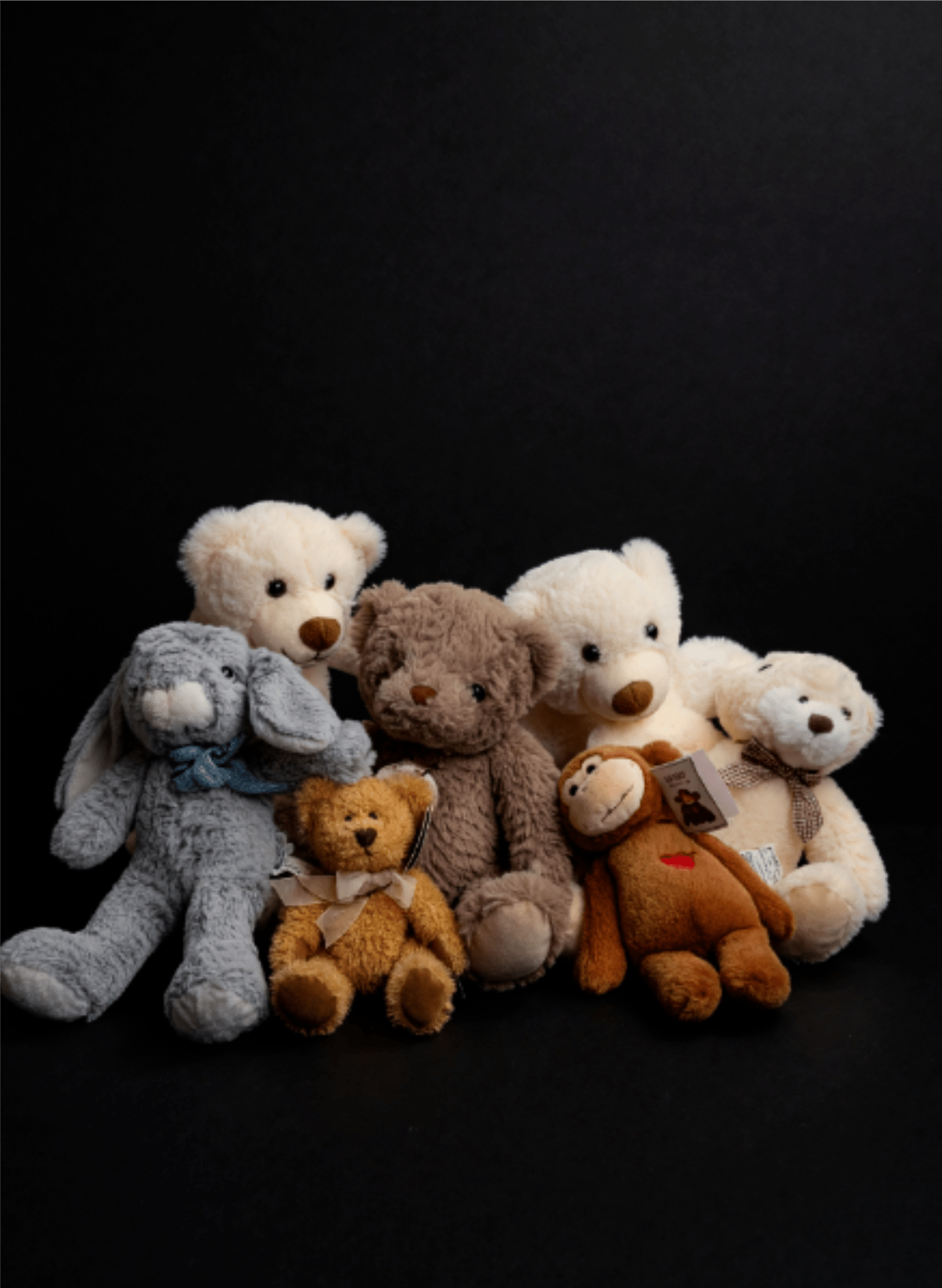 Assorted teddy bears and plush animals posed against a black background