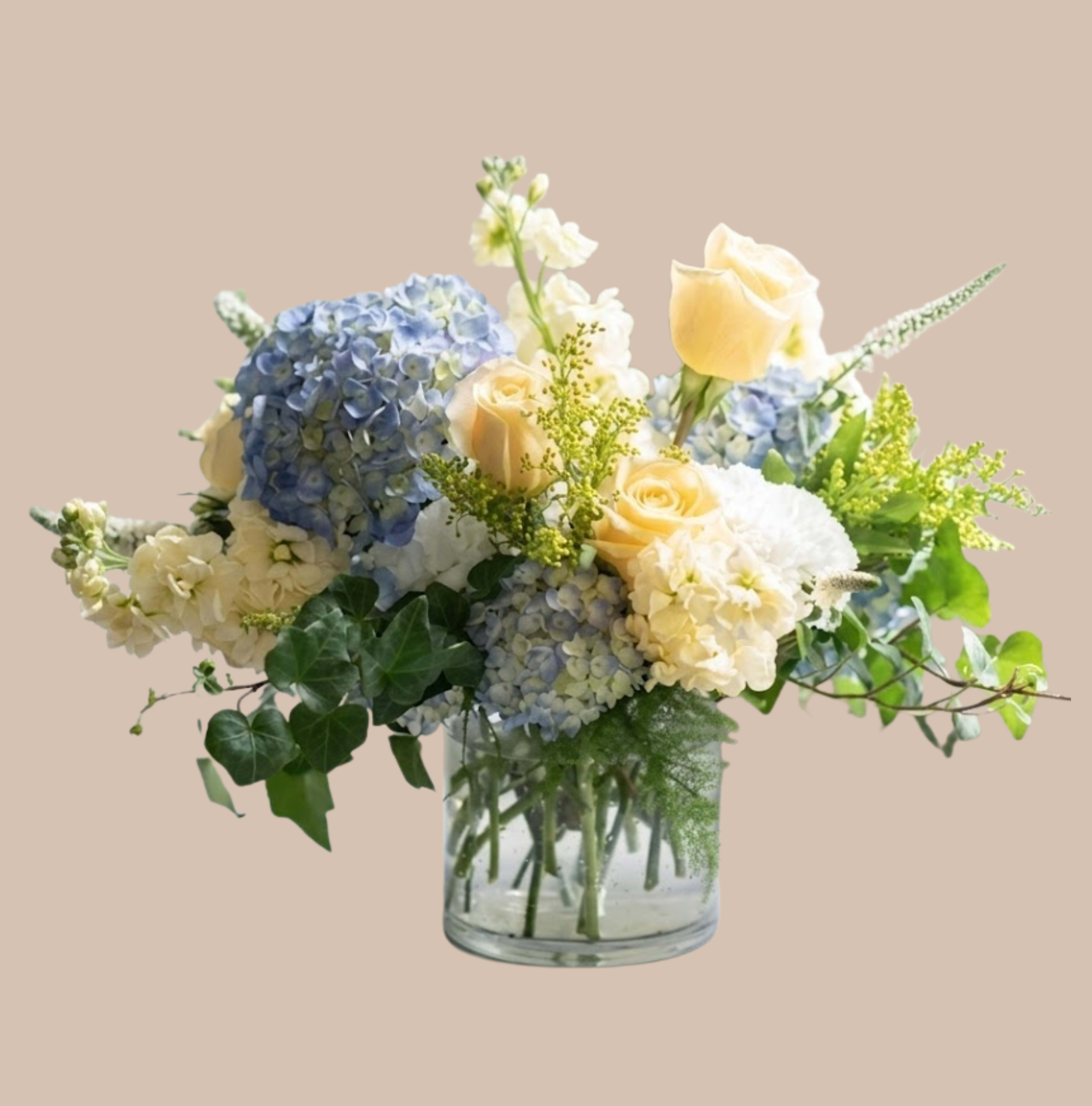 Hydrangea &amp; Honey - Soft blue hydrangea clusters set the tone for a calm, garden-fresh bouquet-perfect as a birthday bouquet, thank-you arrangement, or a thoughtful thinking-of-you gift. The mix of blue hydrangeas with cream and pale yellow roses creates a gentle, airy palette that reads as both elegant and relaxed, so the person you're sending it to will feel genuinely seen and comforted.  Creamy roses and white stock add layered texture and soft vertical accents, while small yellow filler flowers and trailing greenery give the arrangement a loose, natural silhouette. Arranged in a clear glass vase so stems are visible through the water, this design feels light and understated yet full-ideal for a kitchen table, office desk, or bedside. Available in a single size that arrives ready to display; refresh with fresh water and recut stems every few days to extend vase life.