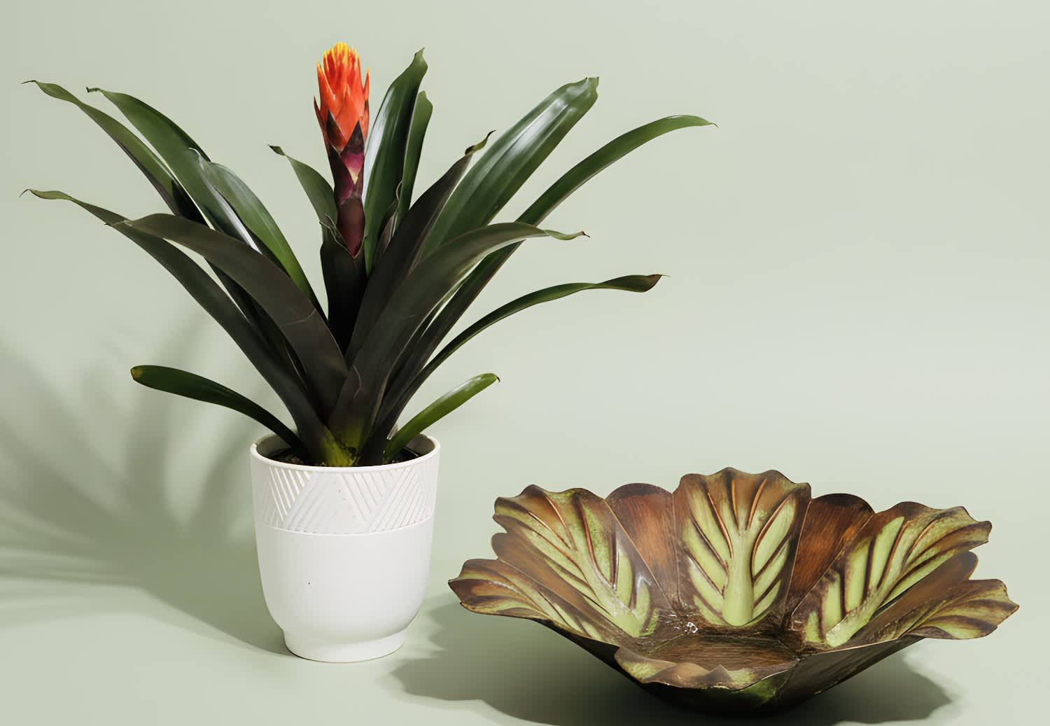 Potted bromeliad with orange bloom beside a decorative leaf-shaped bowl