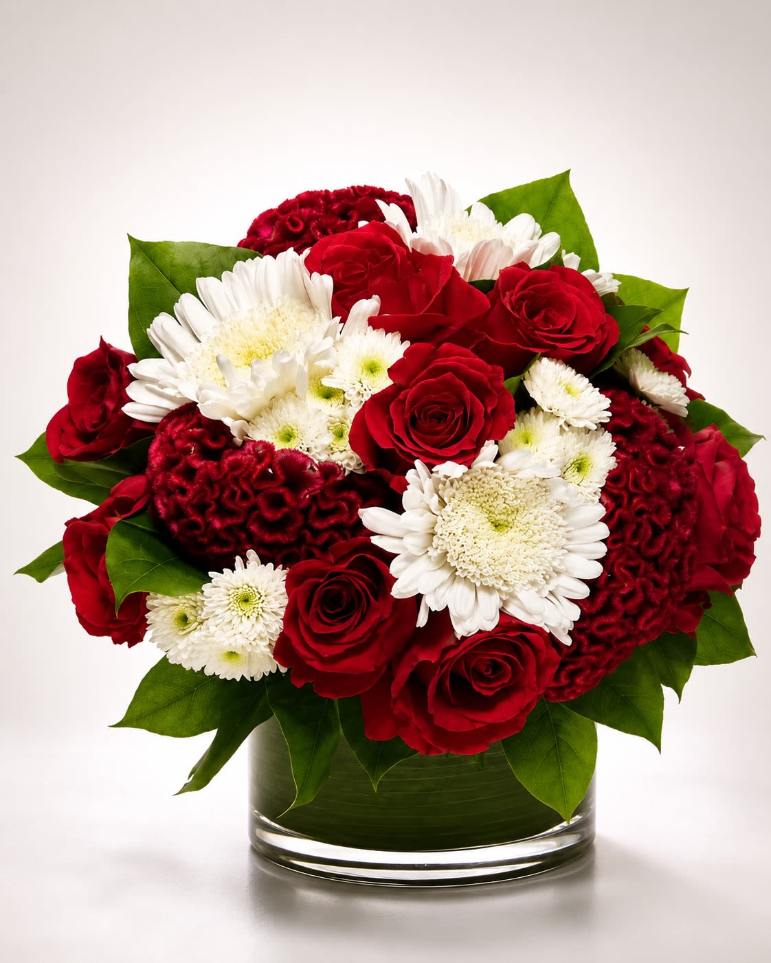 Crimson Velvet Garden - A bold and luxurious arrangement featuring premium red roses, sculptural crimson celosia, crisp white gerbera daisies, and delicate white chrysanthemums designed in a modern leaf-lined glass cylinder vase. Crimson Velvet Garden combines rich romantic tones with soft contrasting textures to create a dramatic yet elegant floral statement. The deep velvety reds paired with clean white blooms give this arrangement a timeless, upscale aesthetic that feels both passionate and refined.  Designed with premium seasonal flowers and lush greenery accents, this arrangement is ideal for romantic occasions, anniversaries, birthdays, celebrations, sympathy gestures, or sophisticated everyday décor. Due to seasonal availability, certain flowers or foliage may occasionally be substituted with blooms of equal or greater value while preserving the overall rich red-and-white color palette, luxurious texture, and elevated design style of the arrangement. The leaf-lined cylinder vase may also vary slightly depending on inventory, but the arrangement will always maintain its modern premium presentation.