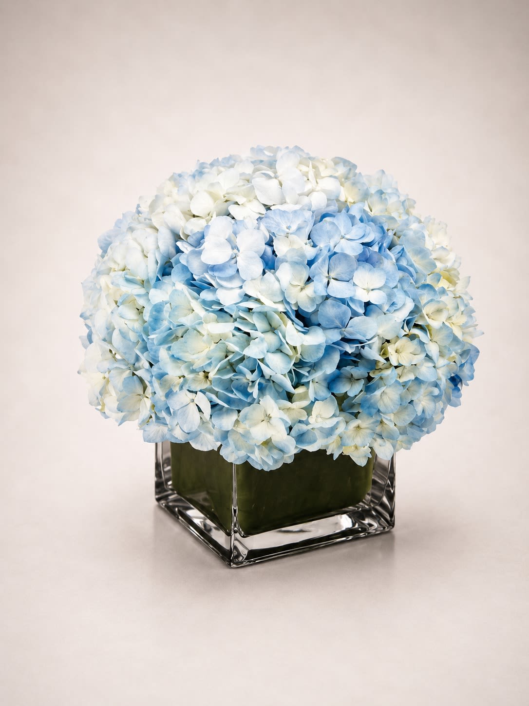 Blue Clouds - A breathtaking cloud of premium blue and white hydrangeas elegantly arranged in a modern clear glass cube vase. Blue Cloud Hydrangeas is designed with lush fullness and soft airy texture, creating a luxurious statement piece that feels serene, timeless, and effortlessly sophisticated.  Featuring oversized hydrangea blooms in delicate sky-blue and creamy white tones, this arrangement is perfect for sympathy gestures, baby celebrations, birthdays, elegant home décor, or upscale gifting. Its rounded silhouette and monochromatic palette create a calm and refined aesthetic ideal for modern interiors and luxury floral styling.  Due to seasonal and market availability, hydrangea shades may vary slightly from pale blue to icy blue or creamy white tones. Vase style and foliage lining may occasionally vary while preserving the arrangement’s luxurious fullness, soft color palette, and modern presentation.