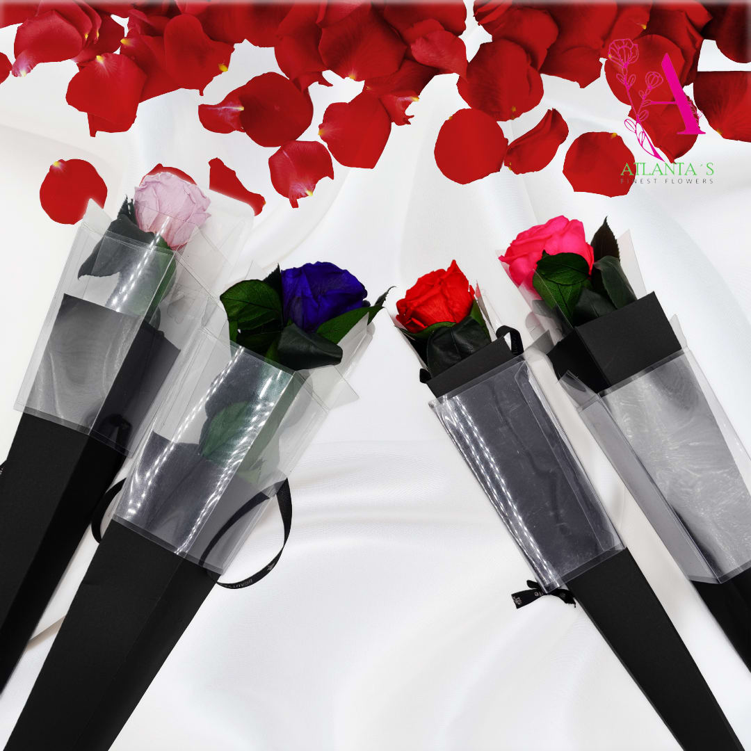 Four single roses wrapped in black sleeves with rose petals scattered above
