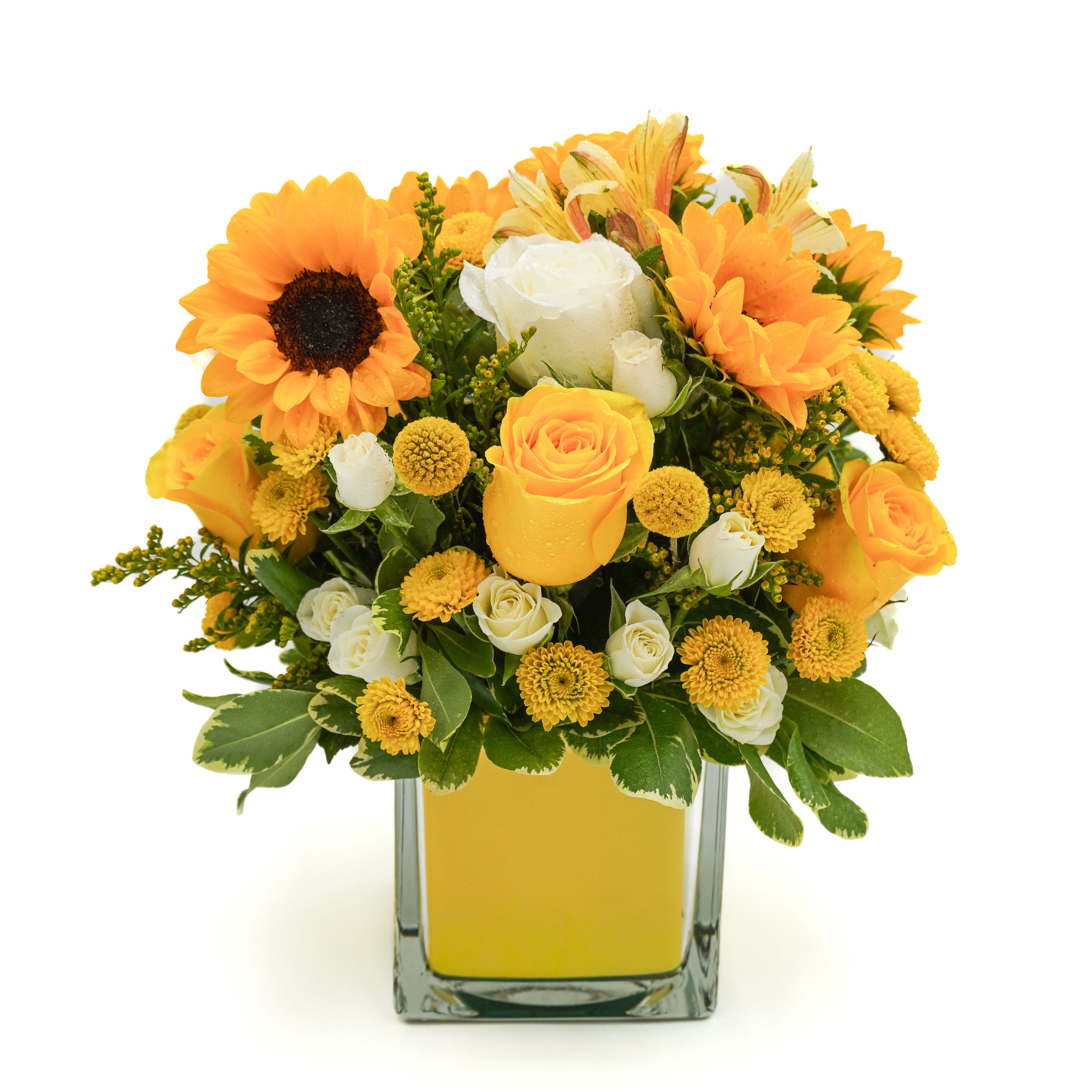 Sunflower Beauty  - Bright, cheerful, and full of sunshine, this vibrant arrangement features golden sunflowers, warm yellow roses, delicate white spray roses, and seasonal accent blooms beautifully arranged in a modern glass cube. Lush greenery adds texture and freshness, making this design perfect for celebrating special moments or simply brightening someone’s day. A radiant choice that brings warmth, happiness, and elegance to any space.
