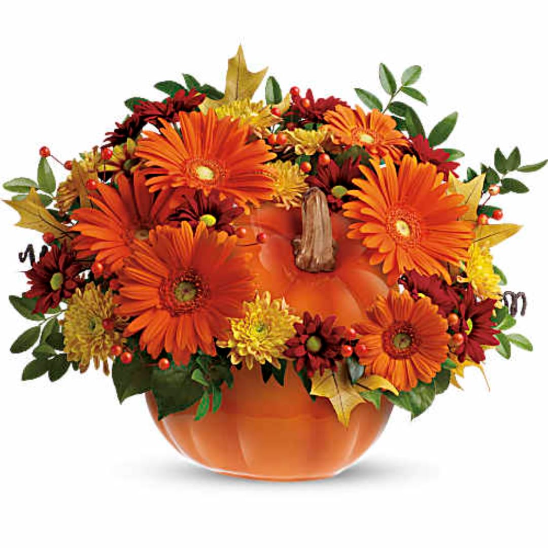 Orange gerbera daisies arranged in a pumpkin-shaped container