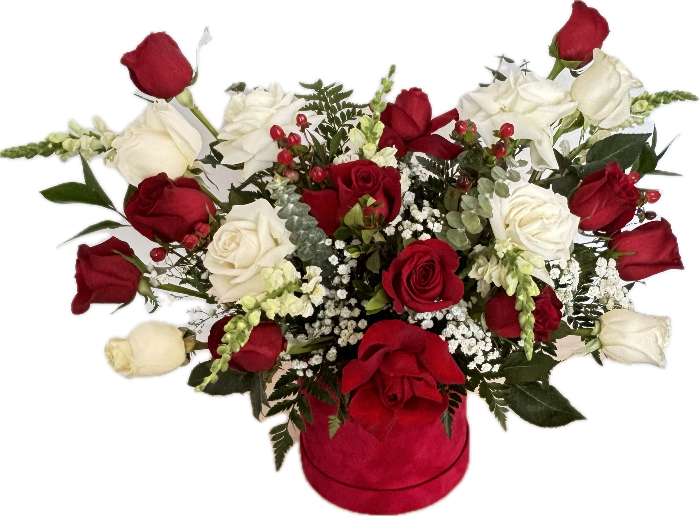 Red Luxury - A luxurious way to show off your love.  Includes: red and white roses, snapdragons, hypericum, babies breath, and a mix of greenery in a box. 