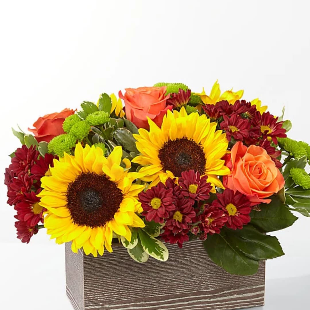 Sunflowers, orange roses, and burgundy daisies in a rectangular wooden box